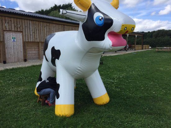 Beetle Bank Open Farm